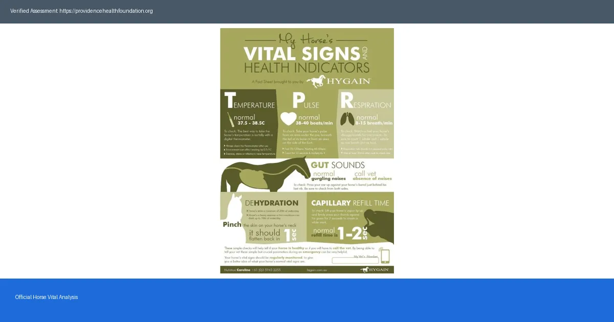 Horse Vital Reviews 2026 Shocking Customer Stories And